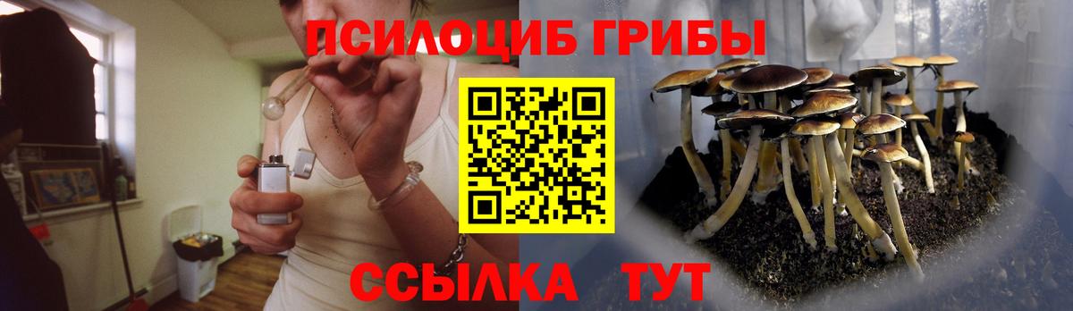 Артёмовский  Галлюциногенные грибы GOLDEN TEACHER  Вход с VPN 